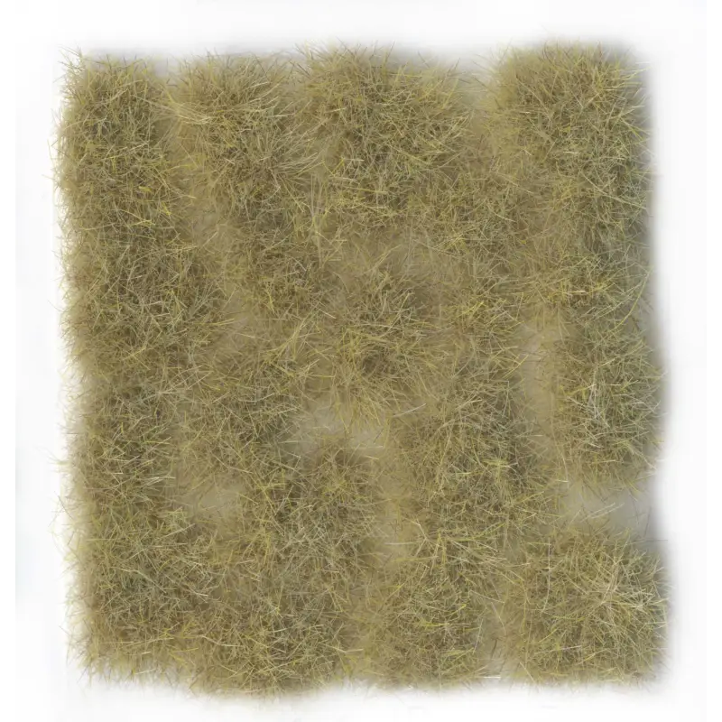 SC429 – Beige 12mm - Végétations